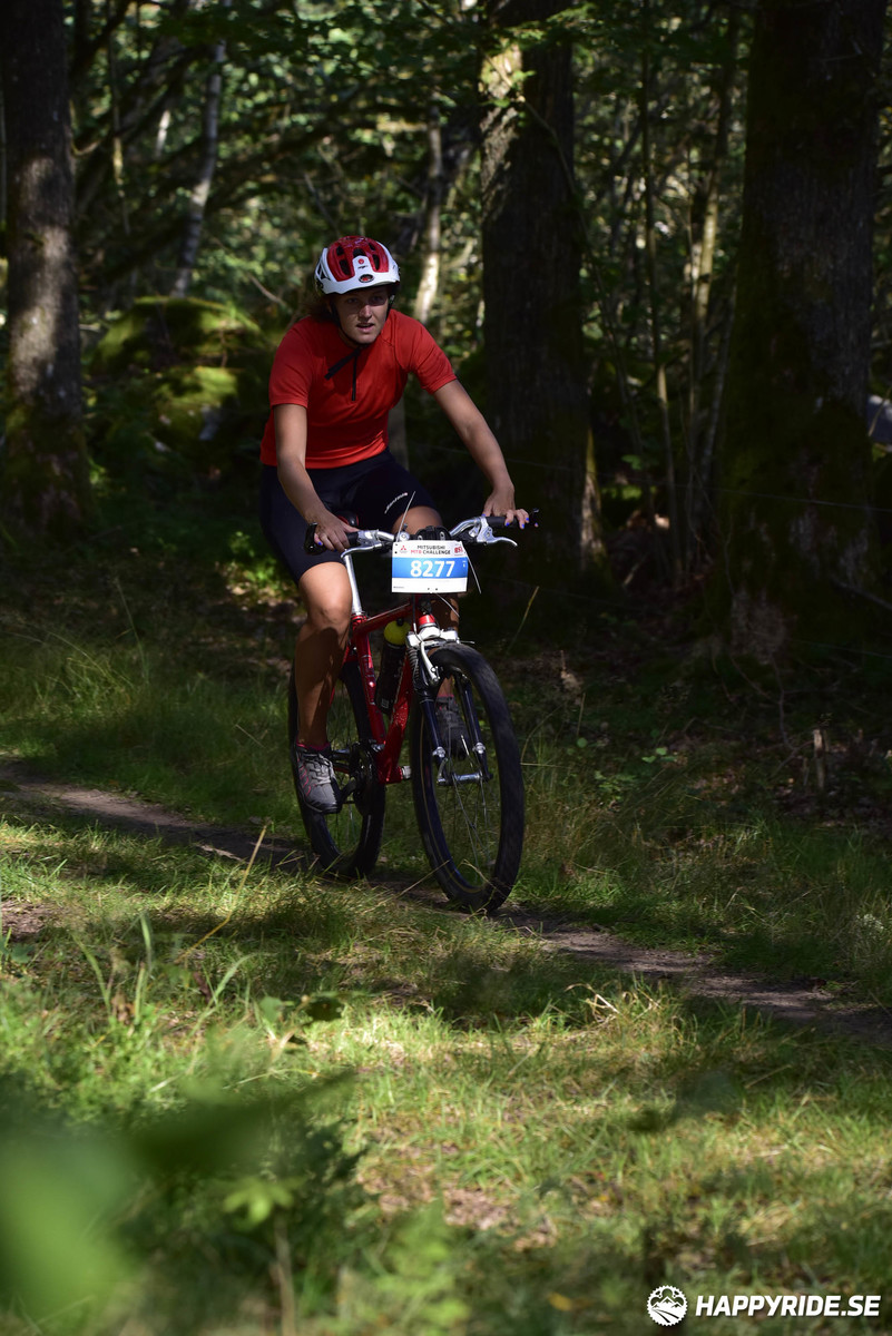 Bild från Bockstensturen 2019